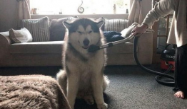 阿拉斯,自然奇观与探险之旅的终极目的地