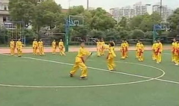 五步拳教学视频,轻松掌握传统武术精髓