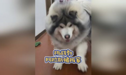 阿拉斯,自然奇观与探险之旅的终极目的地