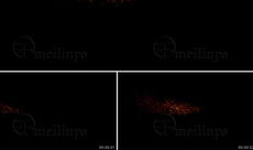 素材网视频,创意灵感一网打尽