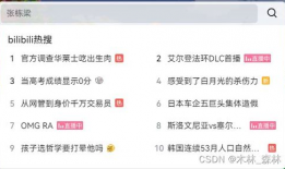 哔哩哔哩视频解析,揭秘热门内容背后的制作奥秘