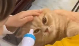 生宝宝搞笑视频,笑料百出，萌态十足！