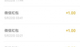 看视频赚钱的软件,轻松实现财富增长的秘密通道