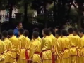 五步拳教学视频,轻松掌握传统武术精髓