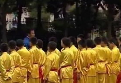 五步拳教学视频,轻松掌握传统武术精髓