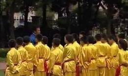 五步拳教学视频,轻松掌握传统武术精髓