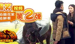 爆笑视频,笑料十足，欢乐无限