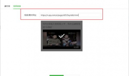 插插视频,揭秘现代科技与生活融合的奇妙瞬间