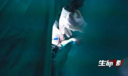 被动压腿疼哭视频