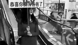 举牌视频,捕捉激情与力量的瞬间